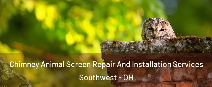 Chimney Animal Screen Repair And Installation Services Southwest - OH