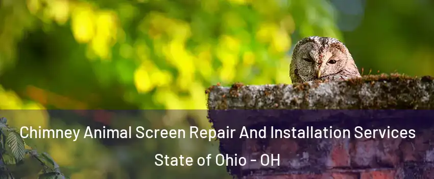 Chimney Animal Screen Repair And Installation Services State of Ohio - OH