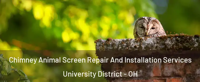 Chimney Animal Screen Repair And Installation Services University District - OH