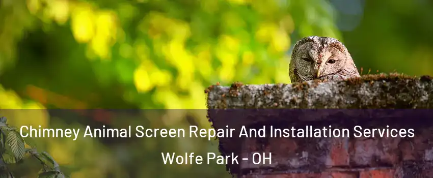 Chimney Animal Screen Repair And Installation Services Wolfe Park - OH