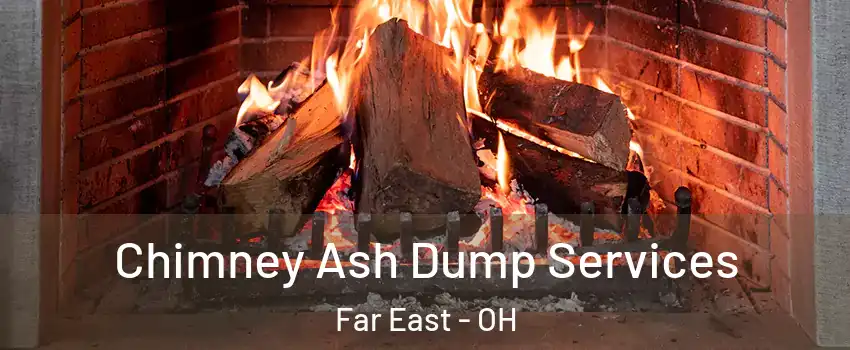 Chimney Ash Dump Services Far East - OH