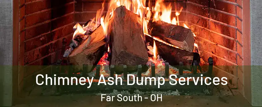 Chimney Ash Dump Services Far South - OH