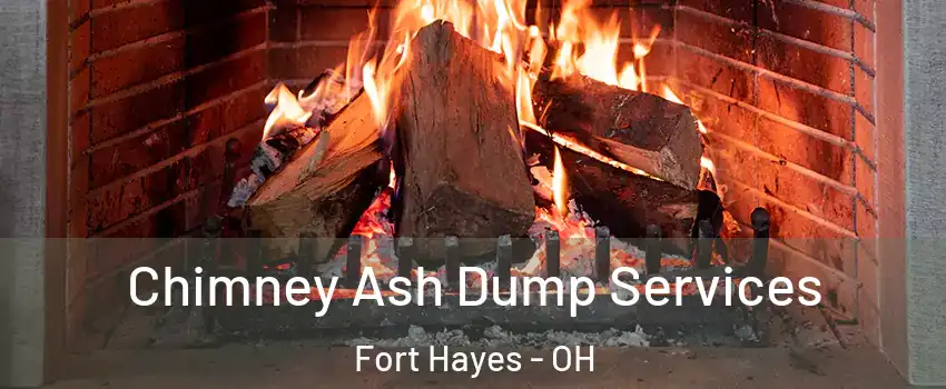 Chimney Ash Dump Services Fort Hayes - OH
