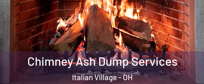 Chimney Ash Dump Services Italian Village - OH