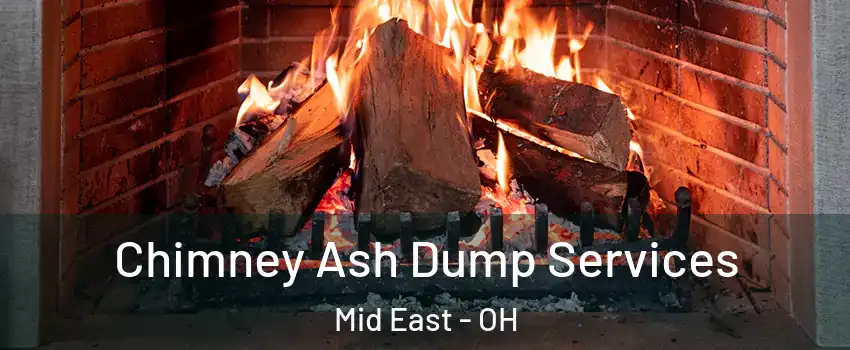 Chimney Ash Dump Services Mid East - OH