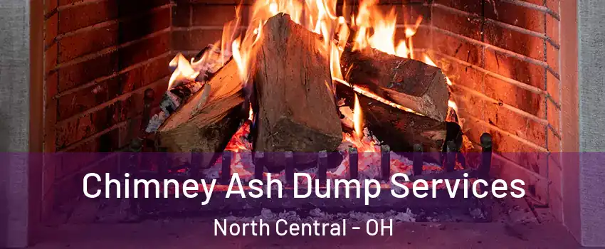 Chimney Ash Dump Services North Central - OH