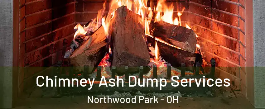 Chimney Ash Dump Services Northwood Park - OH