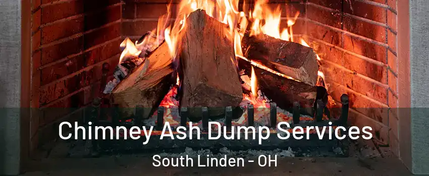 Chimney Ash Dump Services South Linden - OH