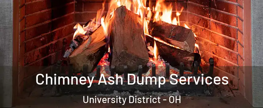 Chimney Ash Dump Services University District - OH