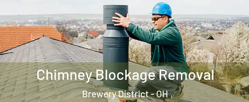 Chimney Blockage Removal Brewery District - OH
