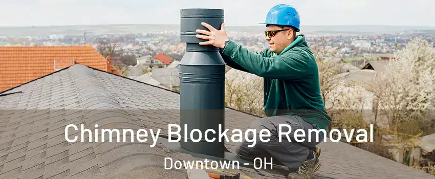 Chimney Blockage Removal Downtown - OH