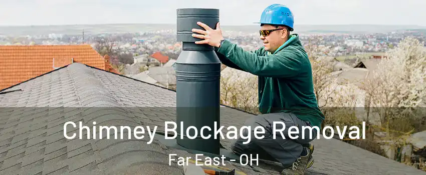 Chimney Blockage Removal Far East - OH