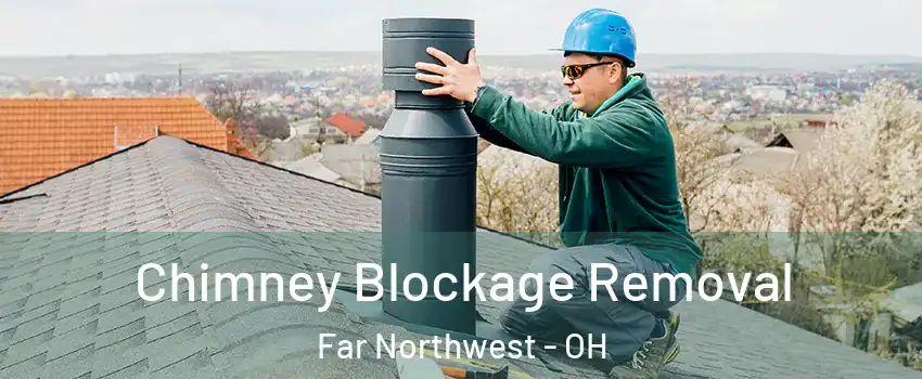 Chimney Blockage Removal Far Northwest - OH