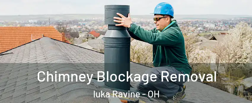 Chimney Blockage Removal Iuka Ravine - OH