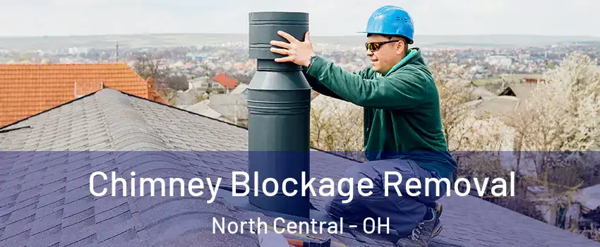 Chimney Blockage Removal North Central - OH