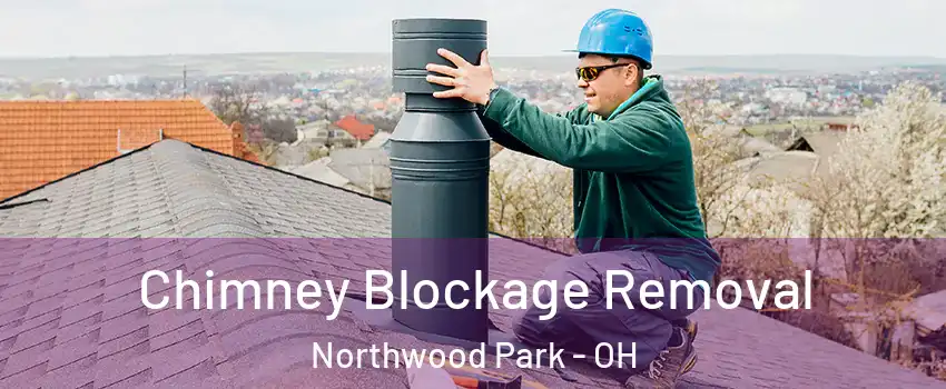 Chimney Blockage Removal Northwood Park - OH