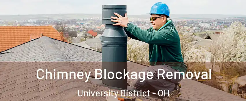 Chimney Blockage Removal University District - OH