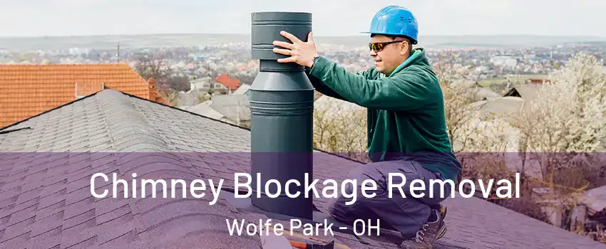 Chimney Blockage Removal Wolfe Park - OH