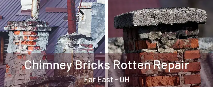 Chimney Bricks Rotten Repair Far East - OH