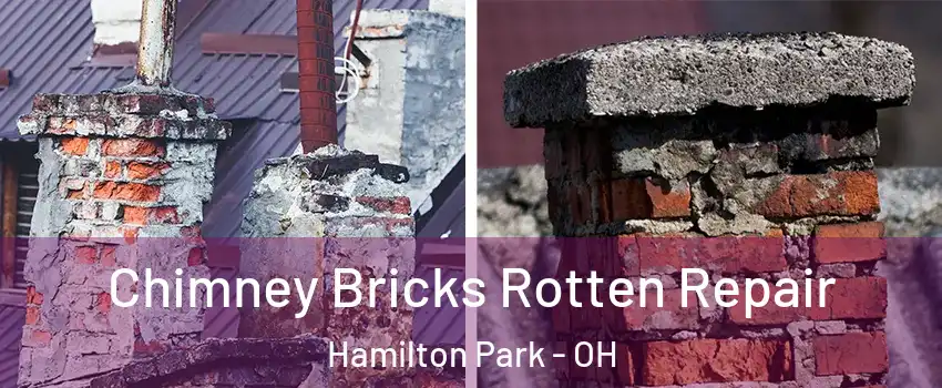 Chimney Bricks Rotten Repair Hamilton Park - OH