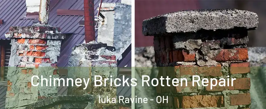 Chimney Bricks Rotten Repair Iuka Ravine - OH
