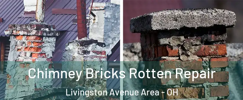 Chimney Bricks Rotten Repair Livingston Avenue Area - OH