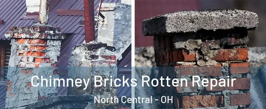 Chimney Bricks Rotten Repair North Central - OH