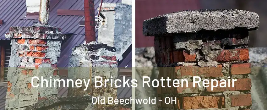 Chimney Bricks Rotten Repair Old Beechwold - OH
