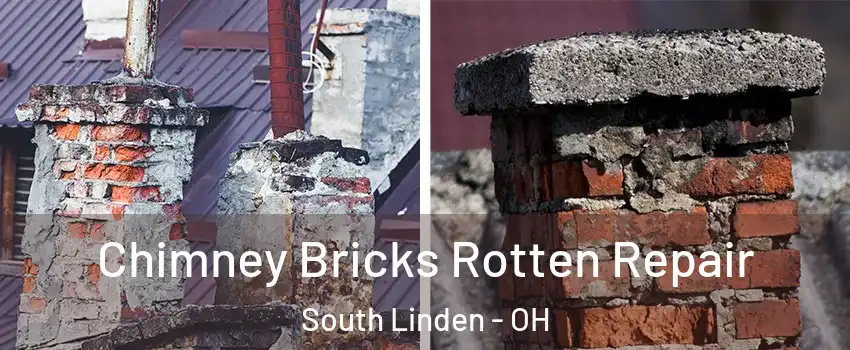 Chimney Bricks Rotten Repair South Linden - OH