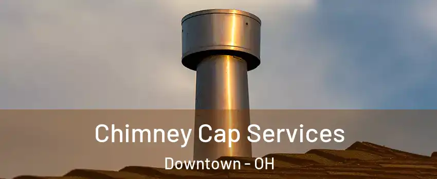 Chimney Cap Services Downtown - OH