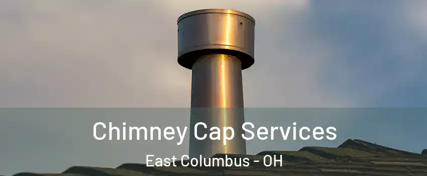 Chimney Cap Services East Columbus - OH