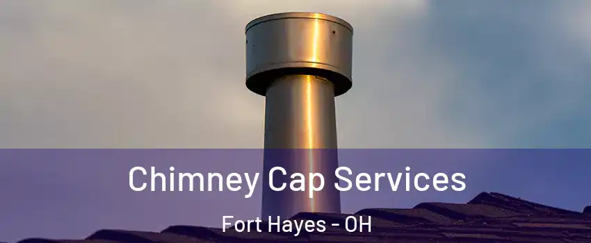 Chimney Cap Services Fort Hayes - OH