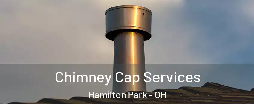 Chimney Cap Services Hamilton Park - OH