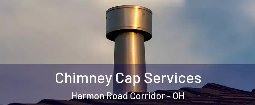 Chimney Cap Services Harmon Road Corridor - OH