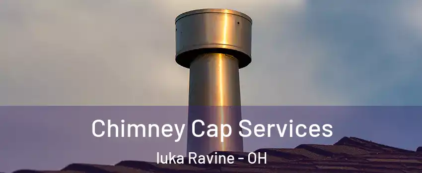 Chimney Cap Services Iuka Ravine - OH
