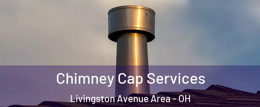 Chimney Cap Services Livingston Avenue Area - OH
