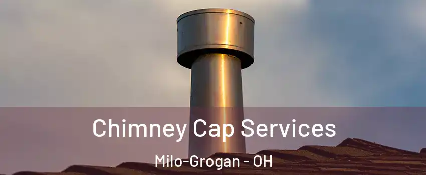 Chimney Cap Services Milo-Grogan - OH