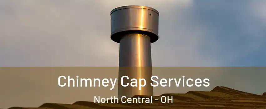 Chimney Cap Services North Central - OH