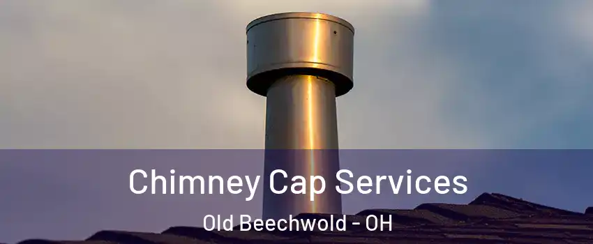 Chimney Cap Services Old Beechwold - OH
