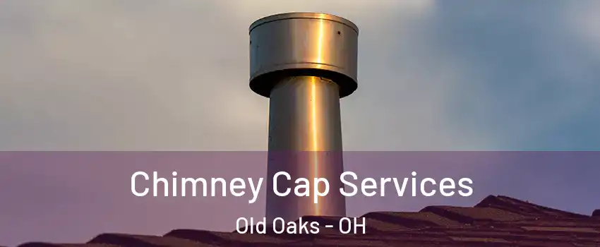 Chimney Cap Services Old Oaks - OH