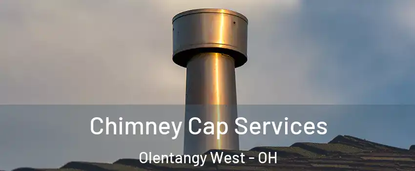 Chimney Cap Services Olentangy West - OH