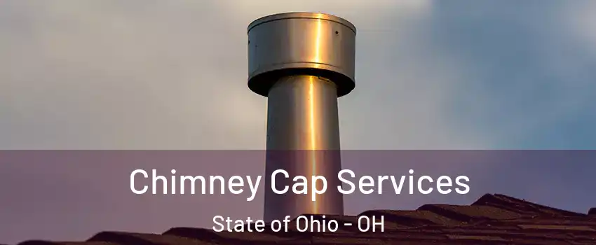Chimney Cap Services State of Ohio - OH