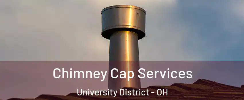 Chimney Cap Services University District - OH