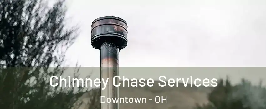 Chimney Chase Services Downtown - OH