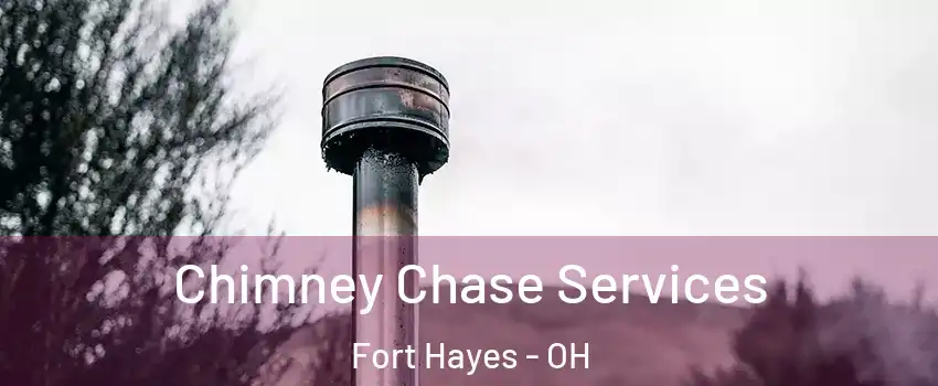 Chimney Chase Services Fort Hayes - OH