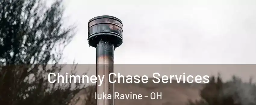 Chimney Chase Services Iuka Ravine - OH