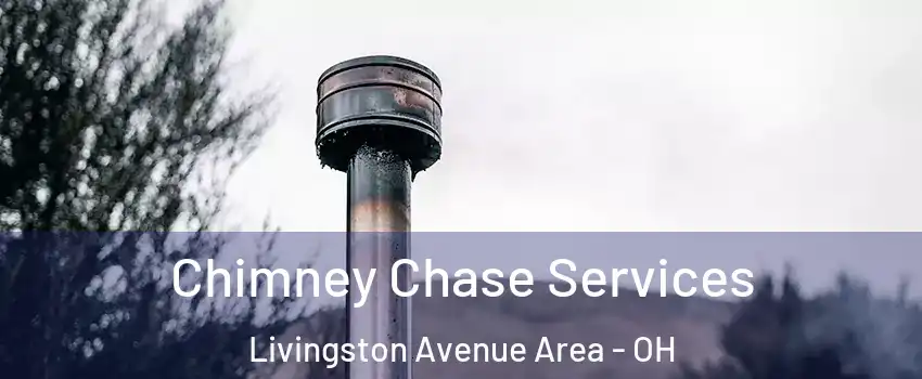 Chimney Chase Services Livingston Avenue Area - OH