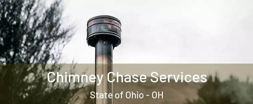 Chimney Chase Services State of Ohio - OH