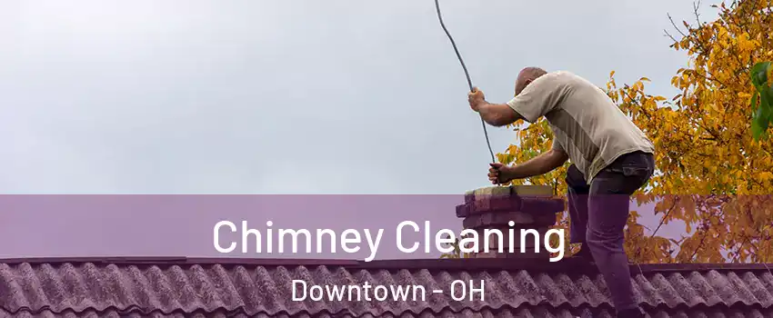 Chimney Cleaning Downtown - OH