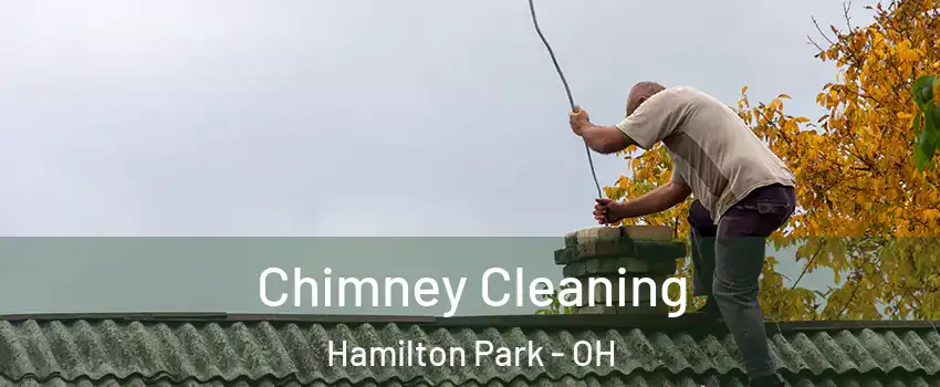 Chimney Cleaning Hamilton Park - OH